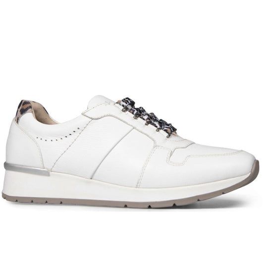 Van Dal Ladies Reydon Lace Up Sneaker White