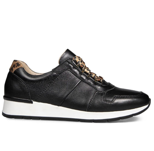 Van Dal Ladies Reydon Lace Up Sneaker Black