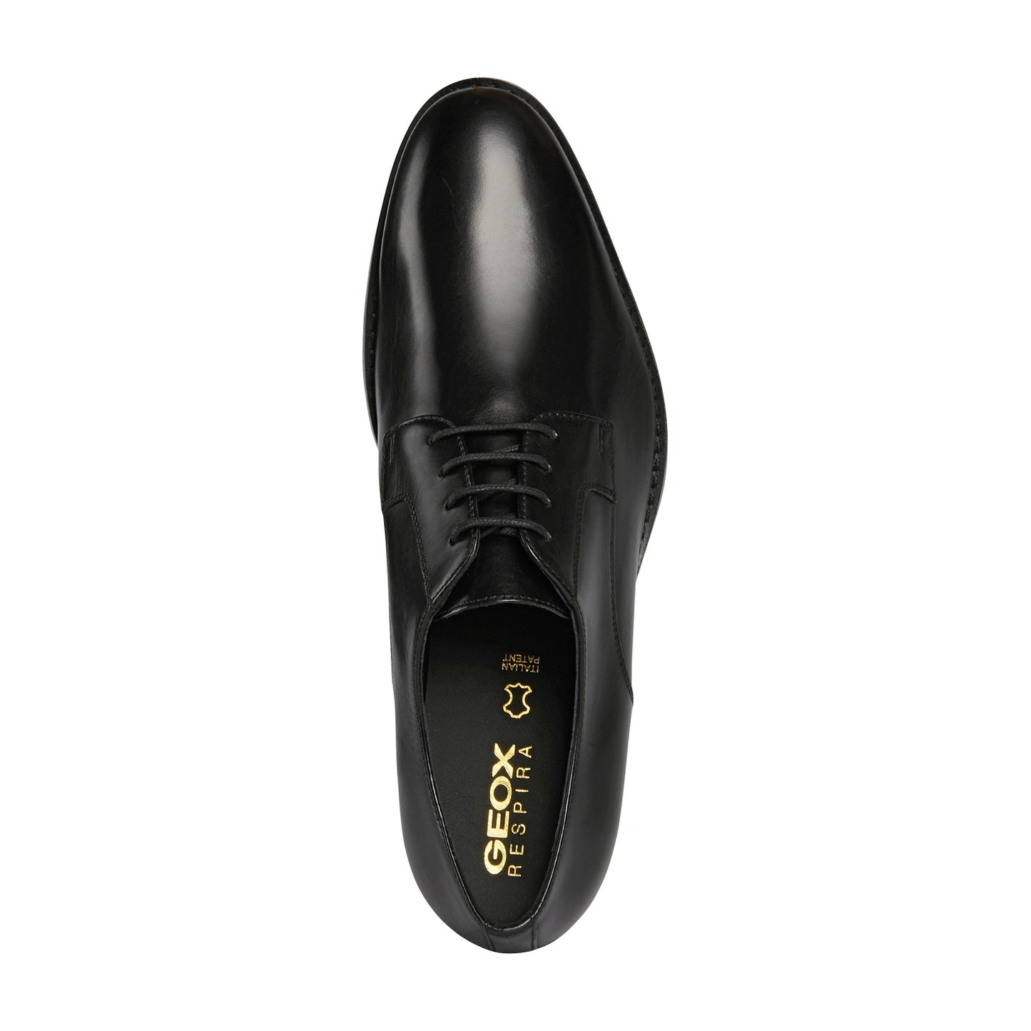 Geox Hampstead Men's Formal Lace Up